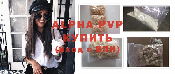 стаф Россошь