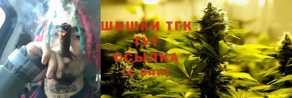 прущие грибы Абаза
