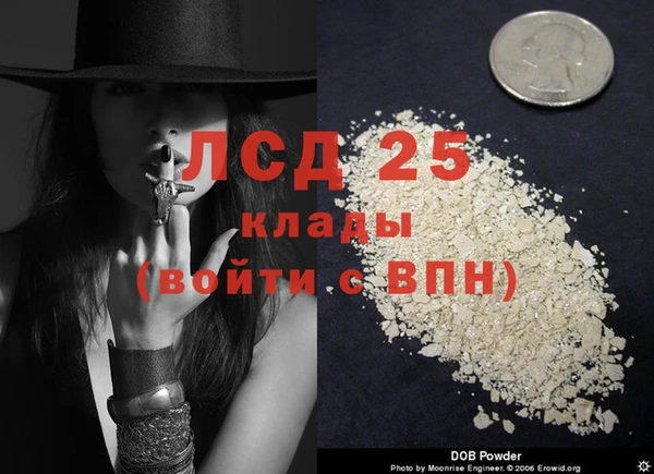 прущие грибы Абаза