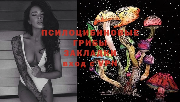 трава Абдулино