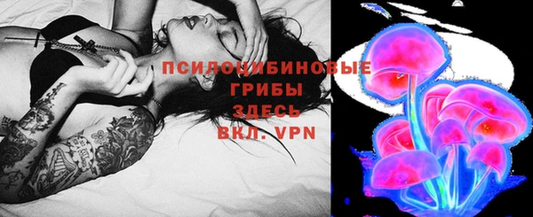 прущие грибы Абаза
