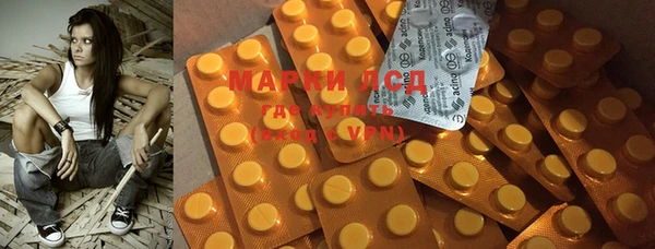 прущие грибы Абаза