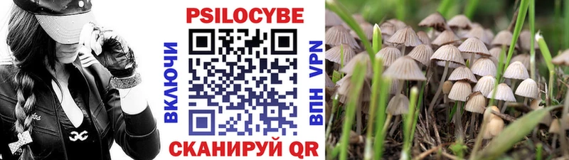 где купить наркотик mega ТОР Галлюциногенные грибы ЛСД Касли